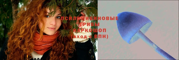 ALPHA PVP Алексин