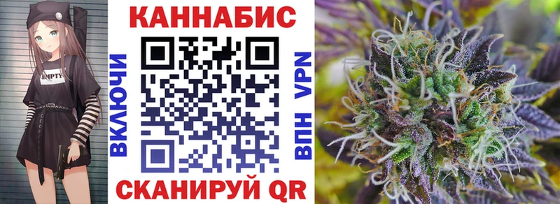 Канабис сатива  omg ONION  Бавлы  закладка 